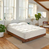 Egyptian Cotton Mattress Cover