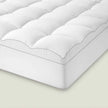 Egyptian Cotton Mattress Cover